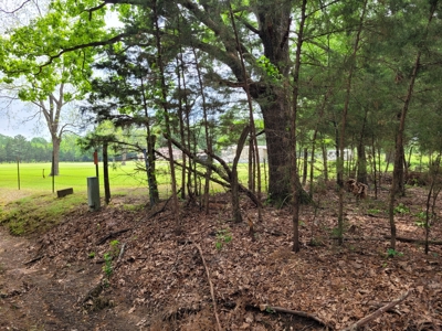Wooded 6 Acres For Sale in Clarksville TX, Red River County TX - image 3