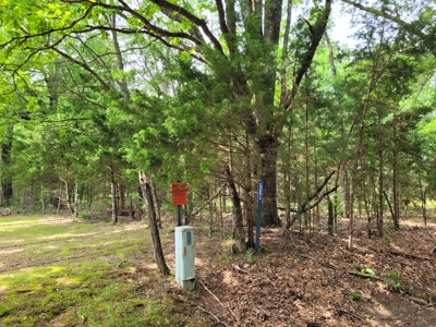 Wooded 6 Acres For Sale in Clarksville TX, Red River County TX - image 13