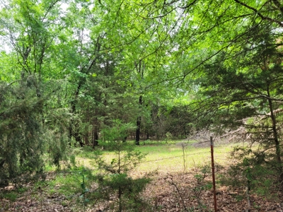 Wooded 6 Acres For Sale in Clarksville TX, Red River County TX - image 1