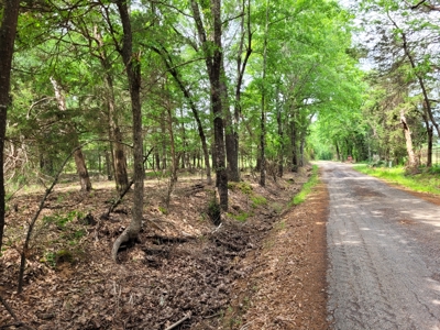 Wooded 6 Acres For Sale in Clarksville TX, Red River County TX - image 4