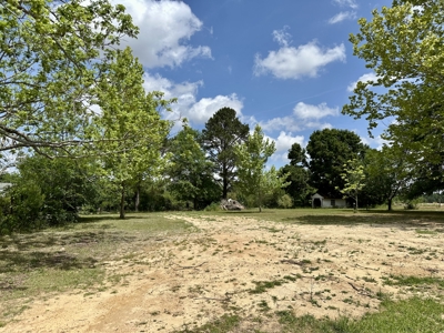 Country Home for sale Hartford, AL - image 38