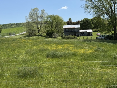 Offering #4 - Building Site for Sale in Bluff City TN - image 6