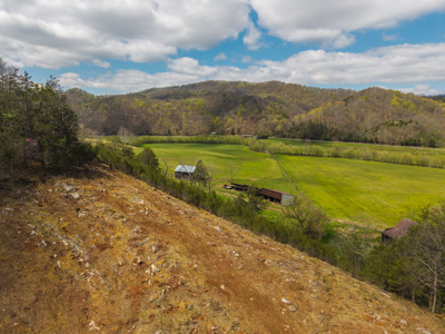 Farmhouse, Fields, and Freedom – Own It All at Auction East TN - image 48