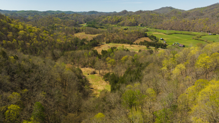 Farmhouse, Fields, and Freedom – Own It All at Auction East TN - image 21