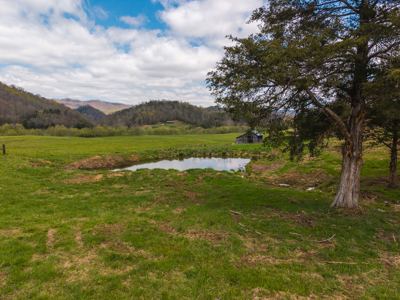Farmhouse, Fields, and Freedom – Own It All at Auction East TN - image 5