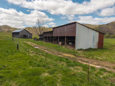 Farmhouse, Fields, and Freedom – Own It All at Auction East TN - image 28
