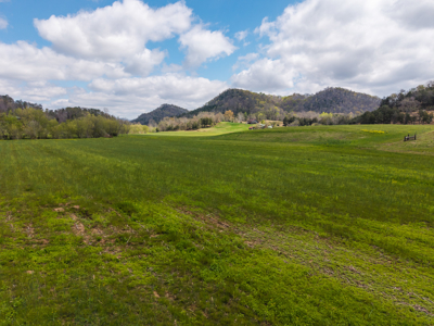 Farmhouse, Fields, and Freedom – Own It All at Auction East TN - image 2