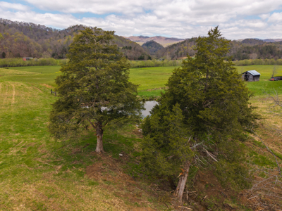 Farmhouse, Fields, and Freedom – Own It All at Auction East TN - image 31
