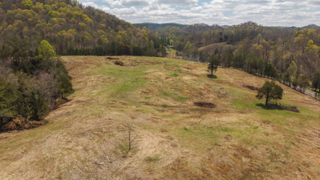Farmhouse, Fields, and Freedom – Own It All at Auction East TN - image 16