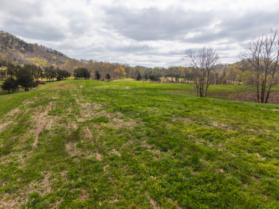 Farmhouse, Fields, and Freedom – Own It All at Auction East TN - image 4