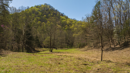 Farmhouse, Fields, and Freedom – Own It All at Auction East TN - image 47