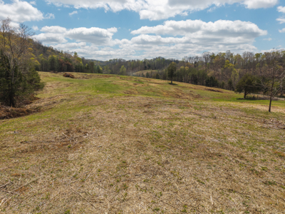 Farmhouse, Fields, and Freedom – Own It All at Auction East TN - image 20