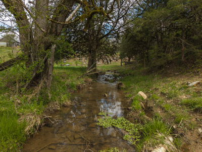 Farmhouse, Fields, and Freedom – Own It All at Auction East TN - image 15