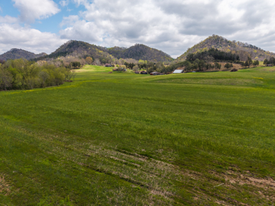 Farmhouse, Fields, and Freedom – Own It All at Auction East TN - image 3