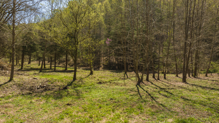Farmhouse, Fields, and Freedom – Own It All at Auction East TN - image 36