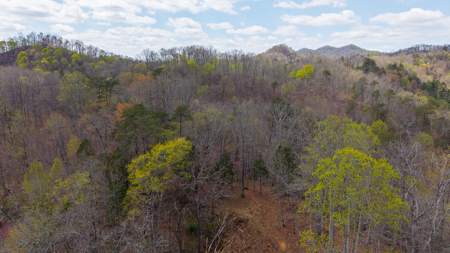 Timeless Tennessee Farm – 66 Acres at Absolute Auction Kyles Ford - image 16