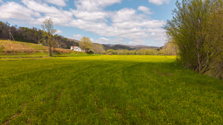 Timeless Tennessee Farm – 66 Acres at Absolute Auction Kyles Ford - image 23