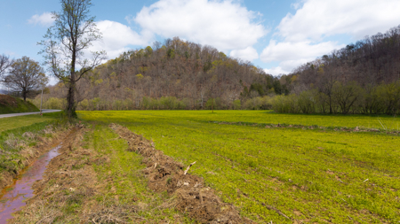 Timeless Tennessee Farm – 66 Acres at Absolute Auction Kyles Ford - image 6