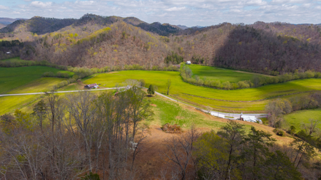 Timeless Tennessee Farm – 66 Acres at Absolute Auction Kyles Ford - image 5