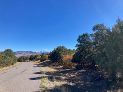 Big Mountain Views Lot for Sale in Ridgway Colorado - image 12