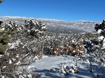 Big Mountain Views Lot for Sale in Ridgway Colorado - image 11