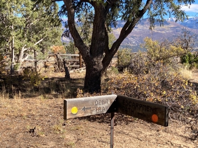 Big Mountain Views Lot for Sale in Ridgway Colorado - image 28