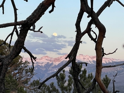 Big Mountain Views Lot for Sale in Ridgway Colorado - image 5
