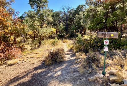 Big Mountain Views Lot for Sale in Ridgway Colorado - image 7