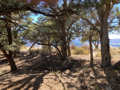 Big Mountain Views Lot for Sale in Ridgway Colorado - image 18