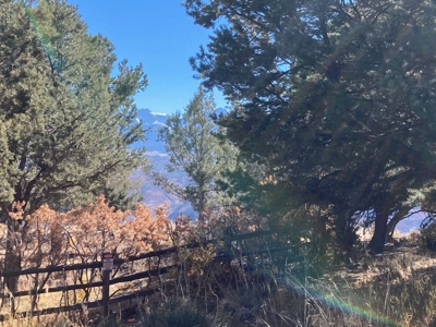 Big Mountain Views Lot for Sale in Ridgway Colorado - image 16