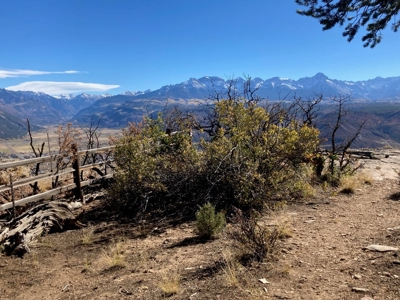 Big Mountain Views Lot for Sale in Ridgway Colorado - image 19