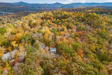 Lake Life is Calling You to Dale Hollow Lake - image 10