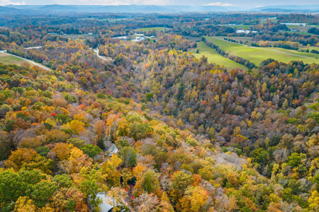 Lake Life is Calling You to Dale Hollow Lake - image 9