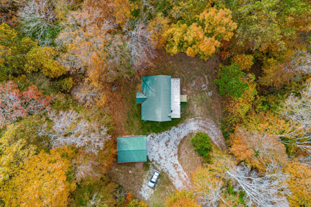 Lake Life is Calling You to Dale Hollow Lake - image 4
