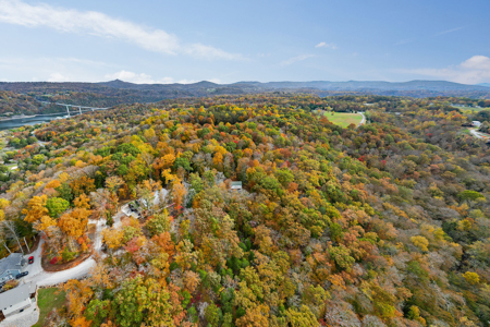 Lake Life is Calling You to Dale Hollow Lake - image 5