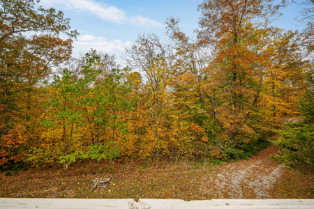 Lake Life is Calling You to Dale Hollow Lake - image 29