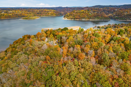 Lake Life is Calling You to Dale Hollow Lake - image 8