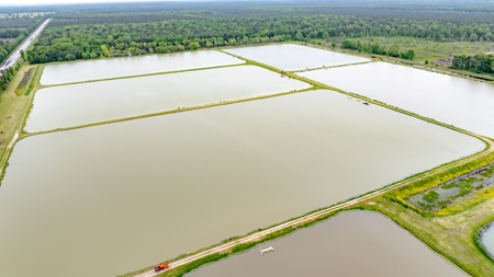 295-Acre Catfish Reserve & Recreational Property Clarksville TX - image 8