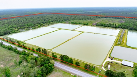 295-Acre Catfish Reserve & Recreational Property Clarksville TX - image 1