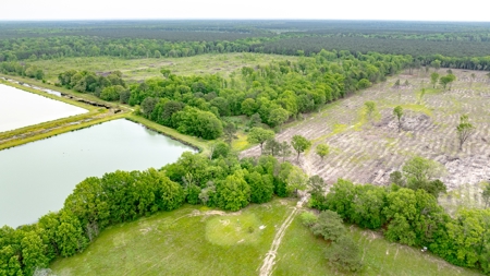 295-Acre Catfish Reserve & Recreational Property Clarksville TX - image 9
