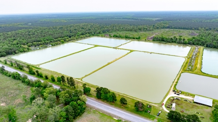 295-Acre Catfish Reserve & Recreational Property Clarksville TX - image 5