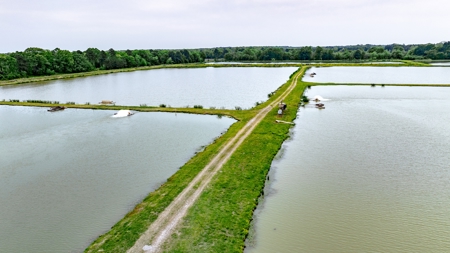 295-Acre Catfish Reserve & Recreational Property Clarksville TX - image 13
