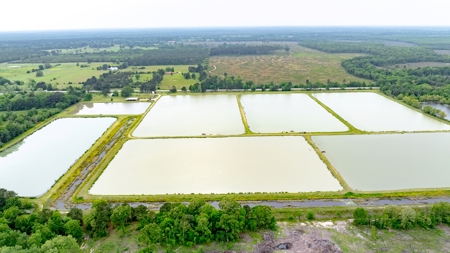 295-Acre Catfish Reserve & Recreational Property Clarksville TX - image 6