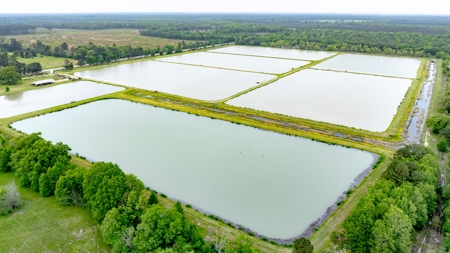 295-Acre Catfish Reserve & Recreational Property Clarksville TX - image 3