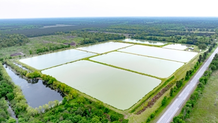 295-Acre Catfish Reserve & Recreational Property Clarksville TX - image 10