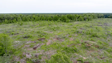 295-Acre Catfish Reserve & Recreational Property Clarksville TX - image 7