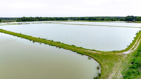 295-Acre Catfish Reserve & Recreational Property Clarksville TX - image 12