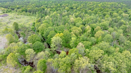 295-Acre Catfish Reserve & Recreational Property Clarksville TX - image 11