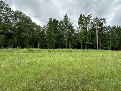 East Texas Recreational Land For Sale - image 1