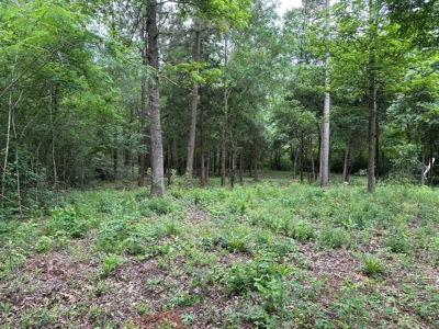 East Texas Recreational Land For Sale - image 12